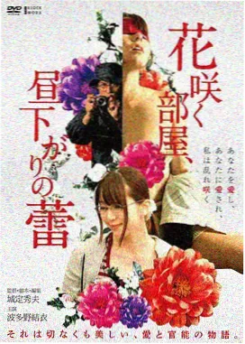 汉江以北 免费韩剧网站推荐